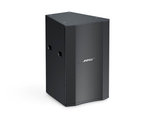 Bose LT 9402 Weather Resistant Loudspeaker for large spaces churches,
