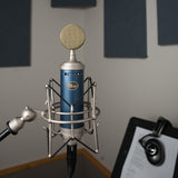 Blue Microphones Bluebird Mic Sl mounted on handle