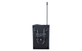 Denon Professional Audio Commander, Professional mobile PA system