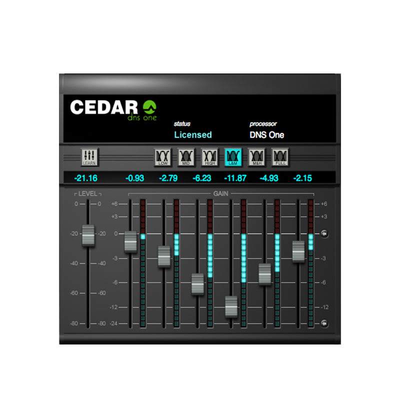 CEDAR CS9 DNS One and DNS Two