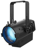 Chauvet Ovation Rêve F-3