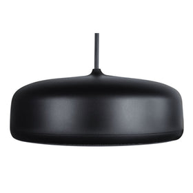 Desono P6-SM Pendant Loudspeaker