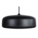 Desono P6-SM Pendant Loudspeaker