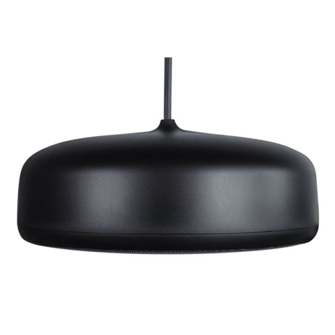 Desono P6-SM Pendant Loudspeaker