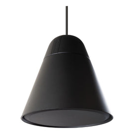 Biamp Systems P30DT-BL/P30DT-W 4.25-inch, 2-way, black pendant loudspeaker 70V/100V or 16 ohm low impedance