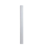 Biamp Systems COLW101 2-way, 10x3.3-inch, IP66 rated, column loudspeaker, White
