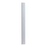 Biamp Systems COLS101 2-way