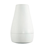 Biamp Systems P6 Pendant, indoor/outdoor 6.5-inch coaxial loudspeaker