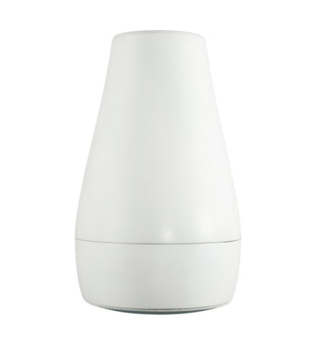 Biamp Systems P6 Pendant, indoor/outdoor 6.5-inch coaxial loudspeaker
