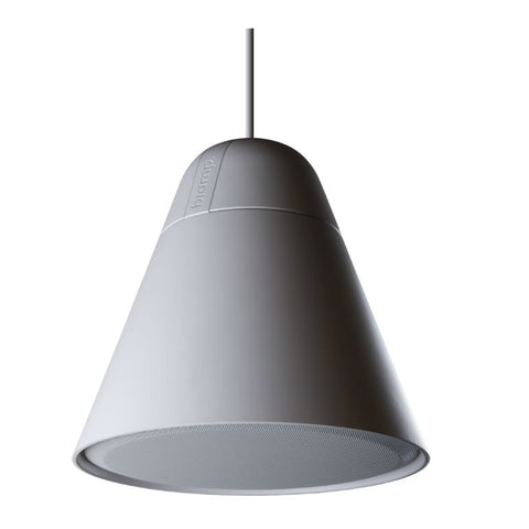 Biamp Systems P30DT-BL/P30DT-W 4.25-inch, 2-way, black pendant loudspeaker 70V/100V or 16 ohm low impedance