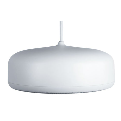 Desono P6-SM Pendant Loudspeaker