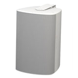 Biamp Systems DX-S5 Surface-Mount Loudspeaker