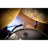 Earthworks DM20 DrumMic™ Tom & Snare Microphone - 20Hz to 20kHz (RM1 RimMount™ included)