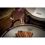 Earthworks DM20 DrumMic™ Tom & Snare Microphone - 20Hz to 20kHz (RM1 RimMount™ included)