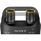 Sony Professional PCM-D10 Discount