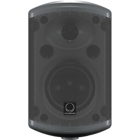 Turbosound TCI32-T front view