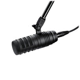 Audio Technica BP40, Large-Diaphragm Broadcast Mic